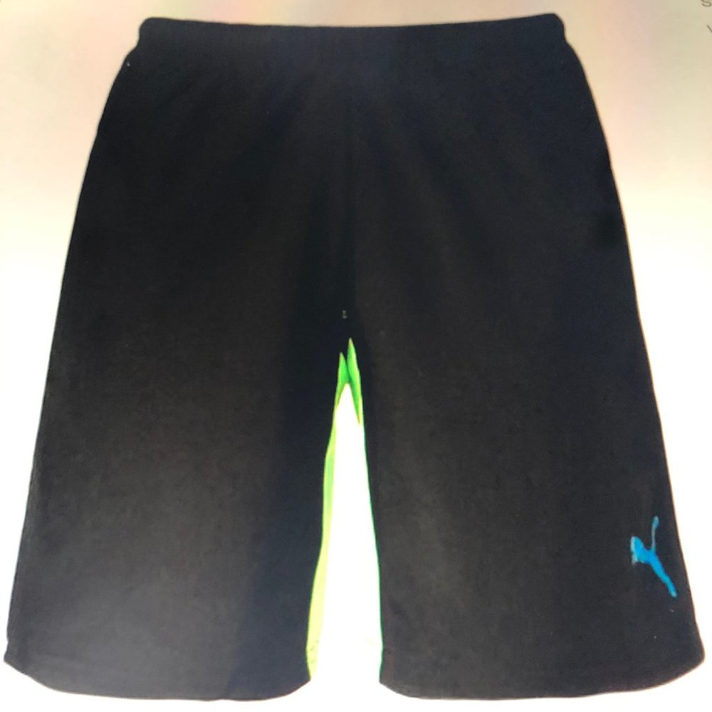 NEW Puma Evo Speed Shorts